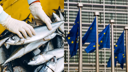 India EU Exports