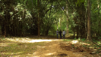 thattekkadu