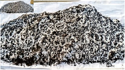 inscription found in Somasamudra