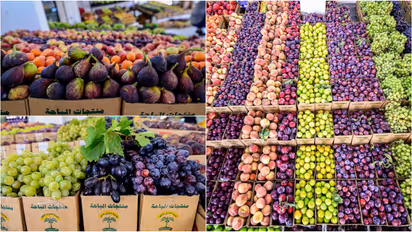 fruits