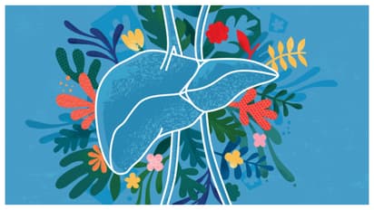 liver health