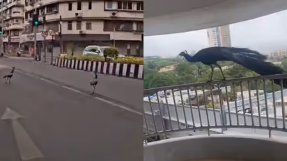viral video