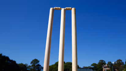 Cricket