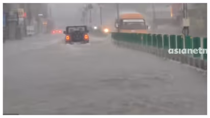 himachal rain