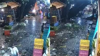 Huge tree crashes onto Dadar Flower Market amid Mumbai rains