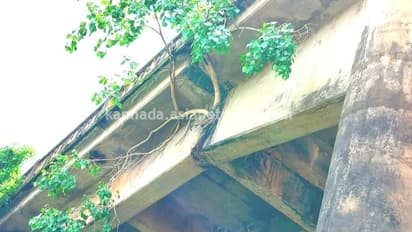 Netravathi Bridge