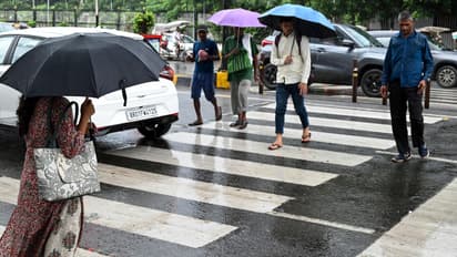 zebra crossing