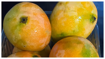 mango