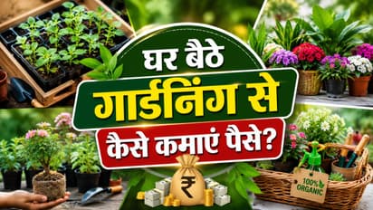 small gardening business