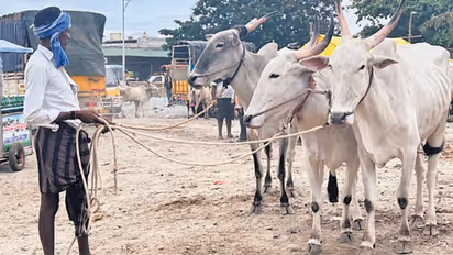 Chitradurga Farmers