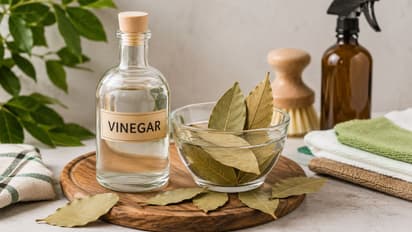 Vinegar Bay Leaf Cleaning Hack