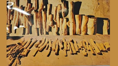 Bengaluru Sandalwood Smuggling