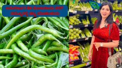 American Chilli Price