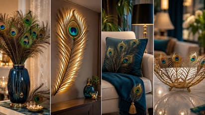 Peacock Feather Home Decor