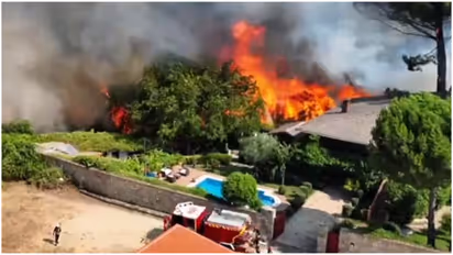 Wildfire