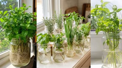 DIY Herb Planter Ideas