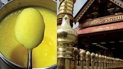 sabarimala ghee
