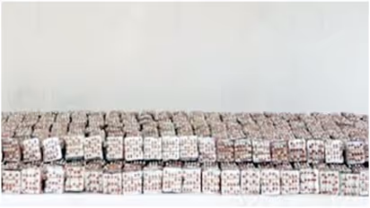 drugs seized