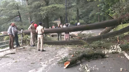 India Rain Disaster
