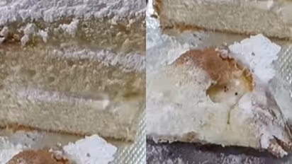 kasaragod bakery sealed after family falls ill from moldy cake