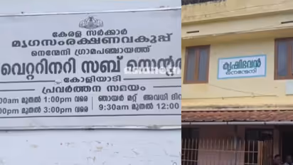 nenmeni theft attempt