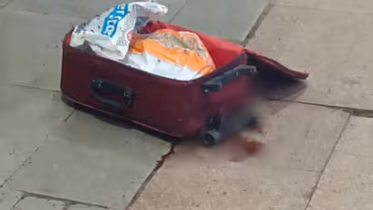 dead body abandoned