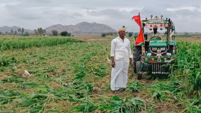 Farmer