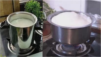 Milk