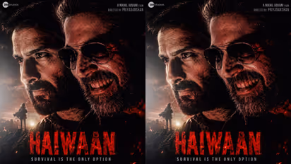 Haiwaan