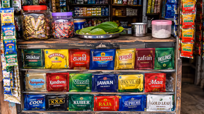 pan masala gutka ban