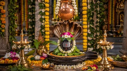 nag panchami puja decoration