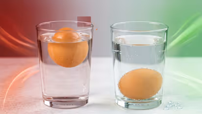 Egg testing method