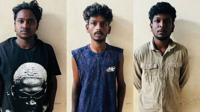 4 kg ganja seized in turuvoor 3 pathanamthitta youths arrested
