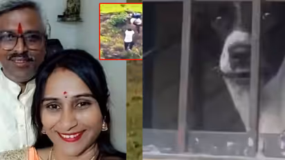 Pet dog waits outside empty home after family dies at hill