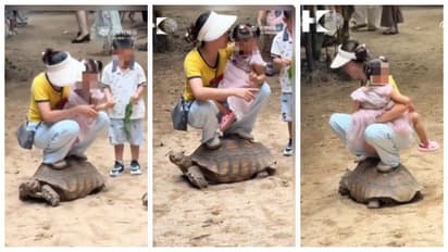 woman climbed onto turtle