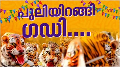 Pulikali