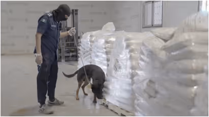 drugs seized