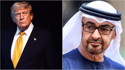 donald trump and uae president