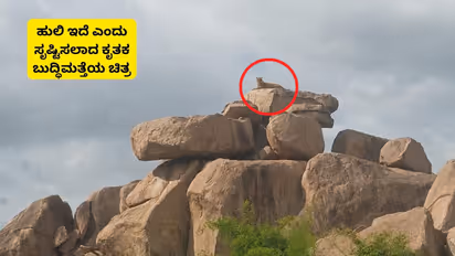 Koppal Tiger