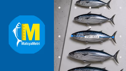 Matsyametri