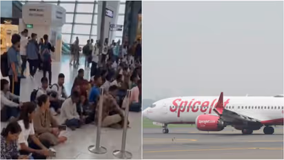 spicejet