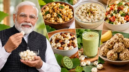 pm modis daily diet