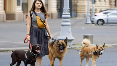 dog walker
