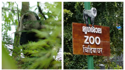thiruvananthapuram zoo relocation faces opposition from wildlife experts