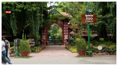 trivandrum zoo