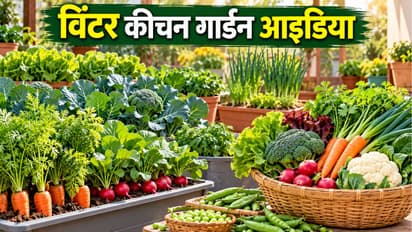 winter garden vegetables