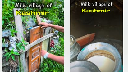 Kashmir Milk Village