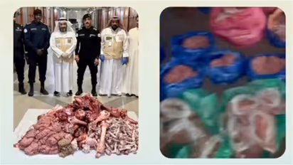 249 kilograms of meat seized