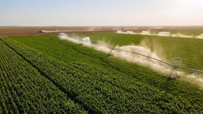 fodder on 500 acres