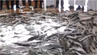 fish seized